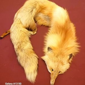 Vintage Fox wrap around neck/shoulder